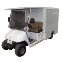 Kapalı Kasalı 2 Kişilik Golf Aracı